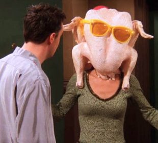 pavo-friends-thanksgiving-day